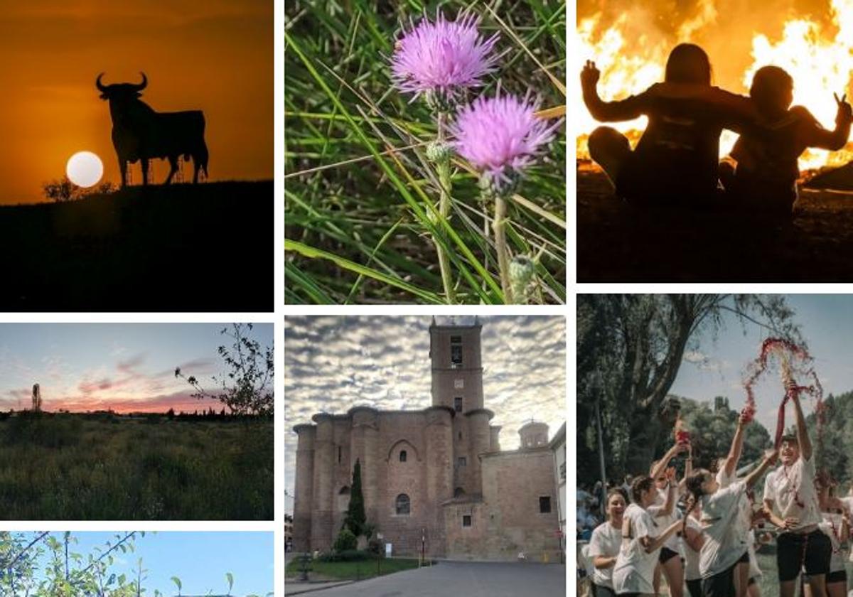 Algunas de las fotos que se pueden votar en el concurso.