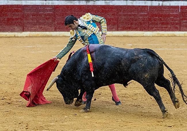 Pereda cortó una oreja.
