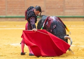 Diego Urdiales, durante una corrida en Arnedo.