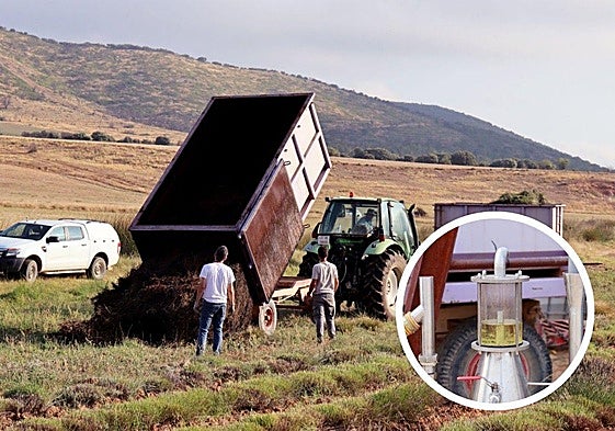 Cosecha y aceite obtenido del campo de lavanda en la Finca Ordoyo de Quel.