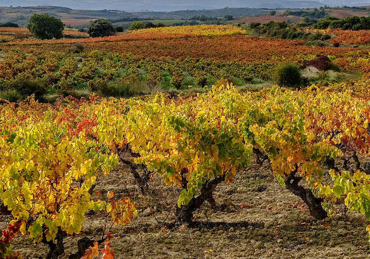 La Ley del Paisaje incorpora propuestas de 16 entidades en su fase de exposición pública