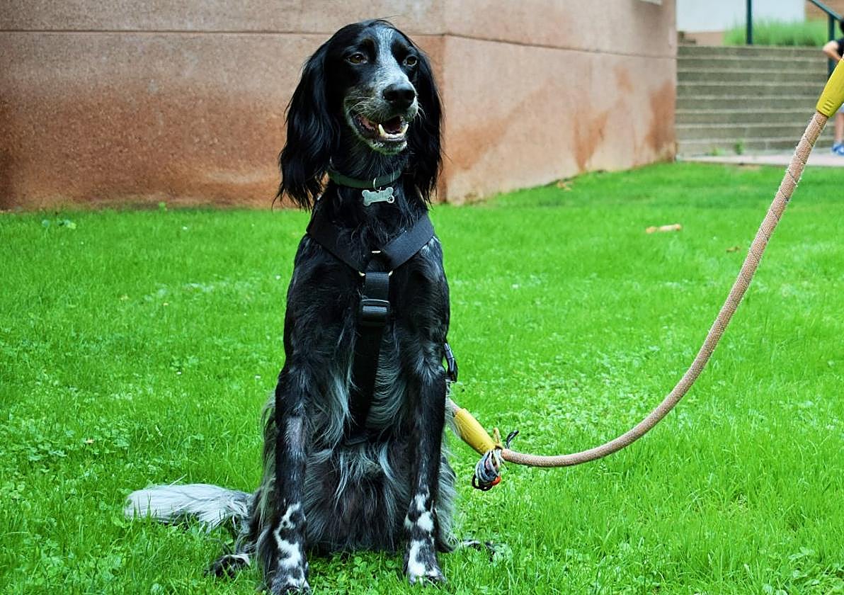 «Lo hemos denunciado para que no vuelva a suceder»