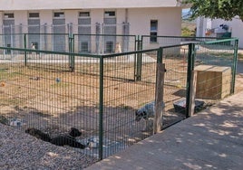 Centro de acogida de animales, popularmente conocido como 'perrera', en una imagen de archivo.