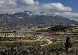 El monte Toloño, donde comienza la conocida popularmente como Sierra de Cantabria y, oficialmente, Sierra de Toloño.