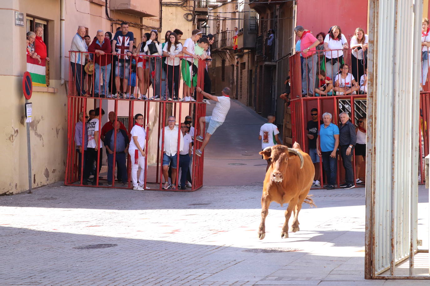 El día de las peñas de Autol, en imágenes