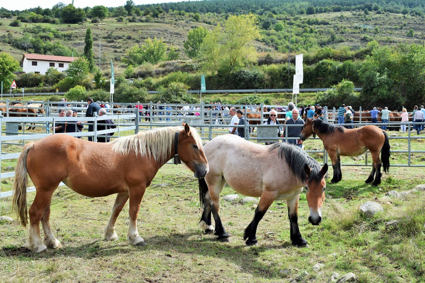 XXVII Feria Ganadera de Villoslada de Cameros