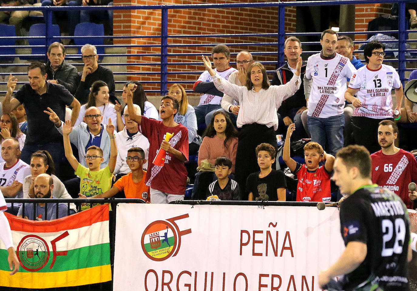 Las imágenes del Ciudad de Logroño-Torrelavega