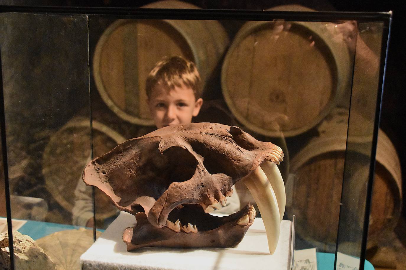 Ciencia en el Barrio Bodegas de Quel