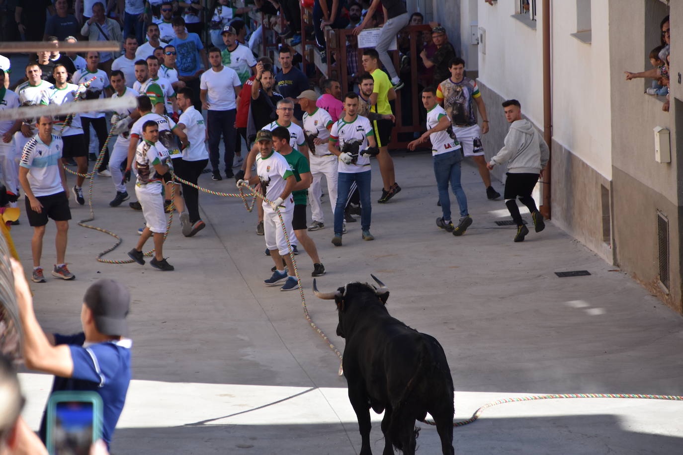 Toro ensogado en las fiestas de la Virgen del Carmen de Cabretón