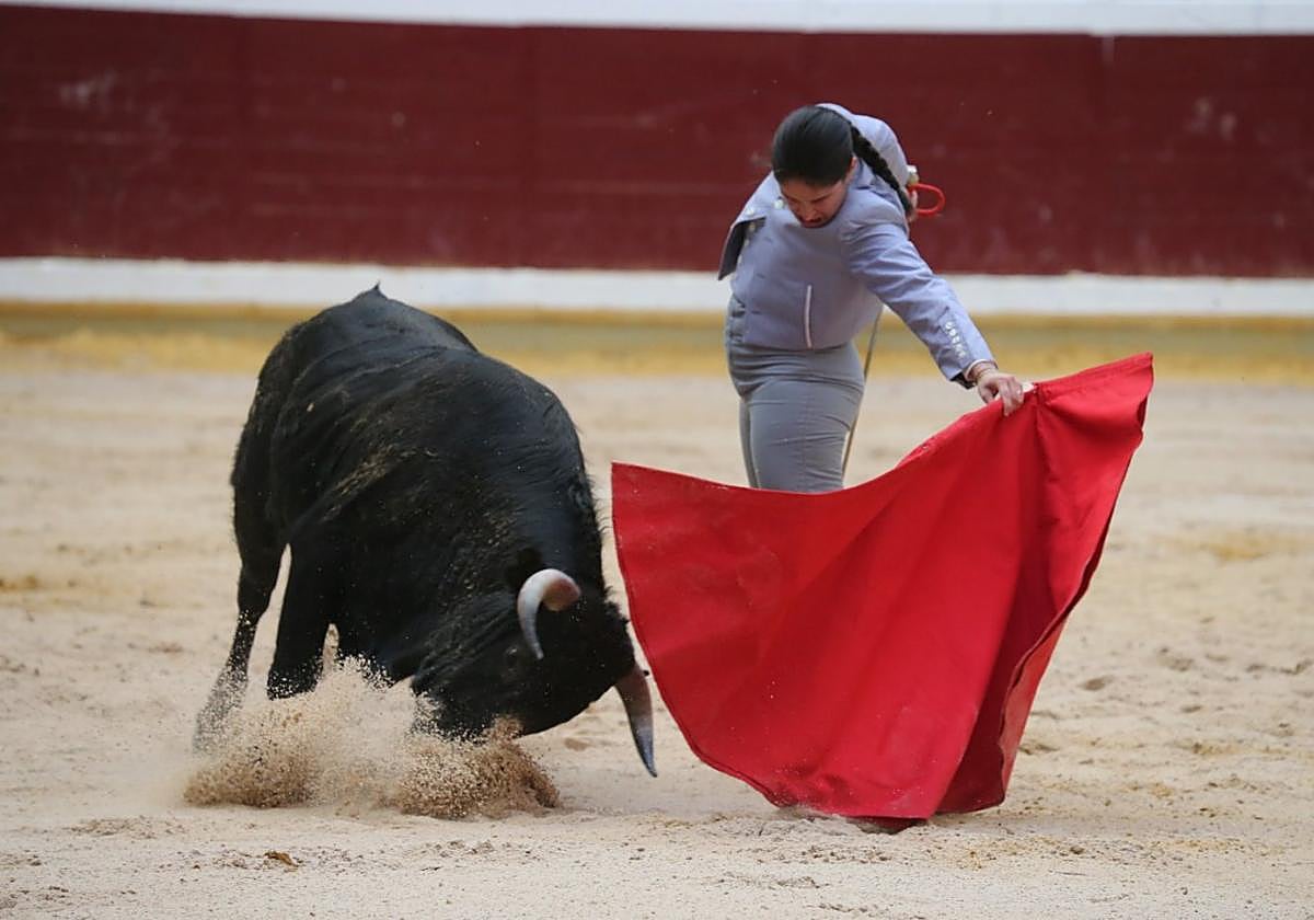 Sacristán, ante un novillo de Álvaro y Pablo Lumbreras en el Bolsín Taurino Ciudad de Logroño.