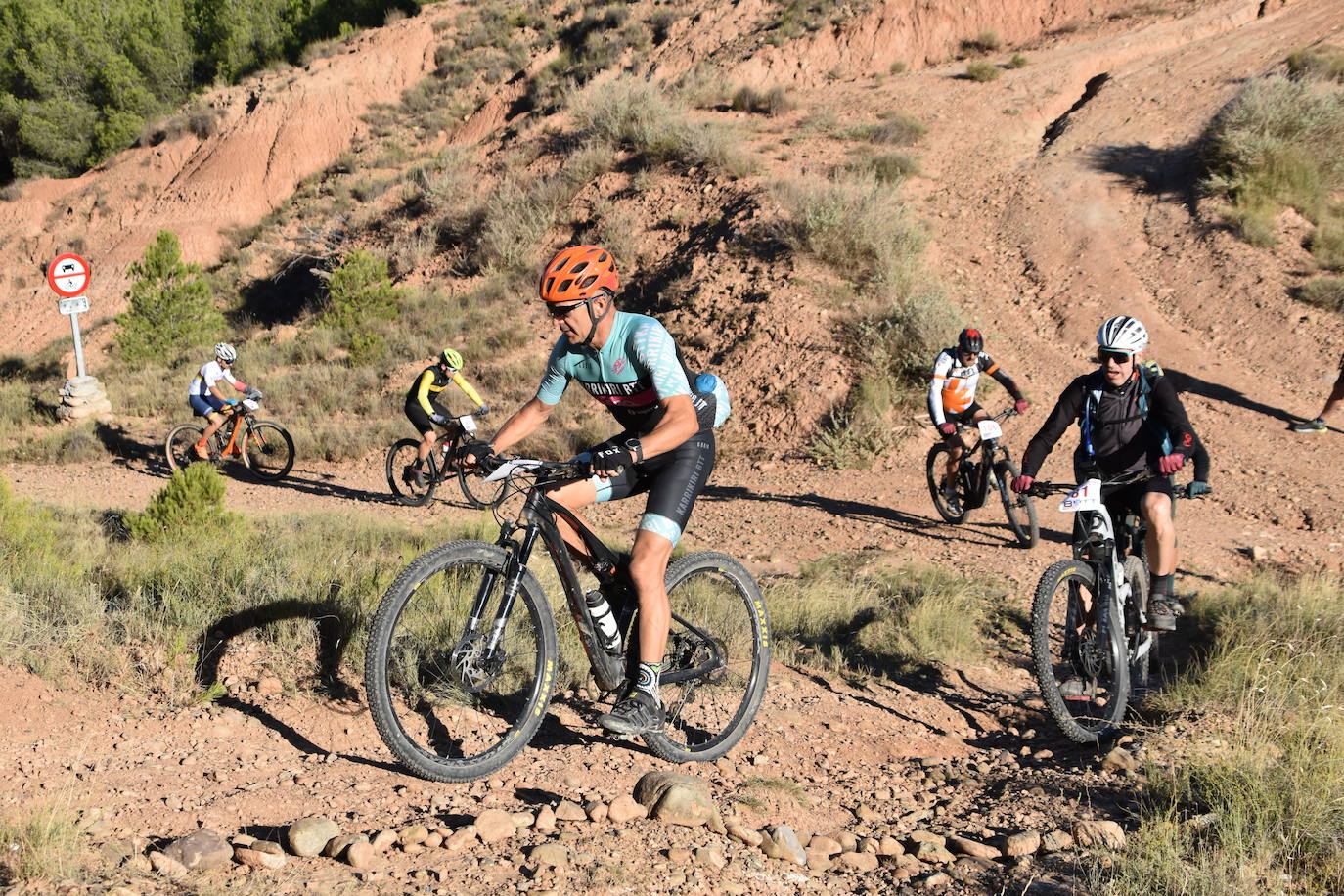 Cruz y Calleja ganan la BTT Peña Calagurritana