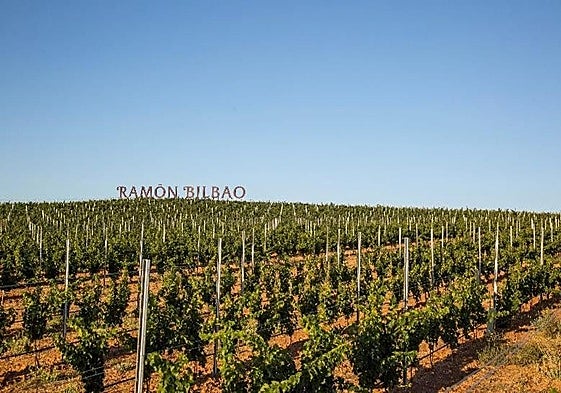 Los Reyes aceptan la Presidencia de Honor del centenario de Ramón Bilbao