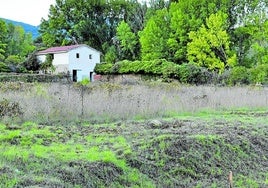 Primeras labores de desbroce y mediciones en Fuente Tapia, paraje donde se construirá la residencia.