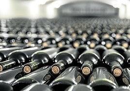 Botellero en Montecillo.