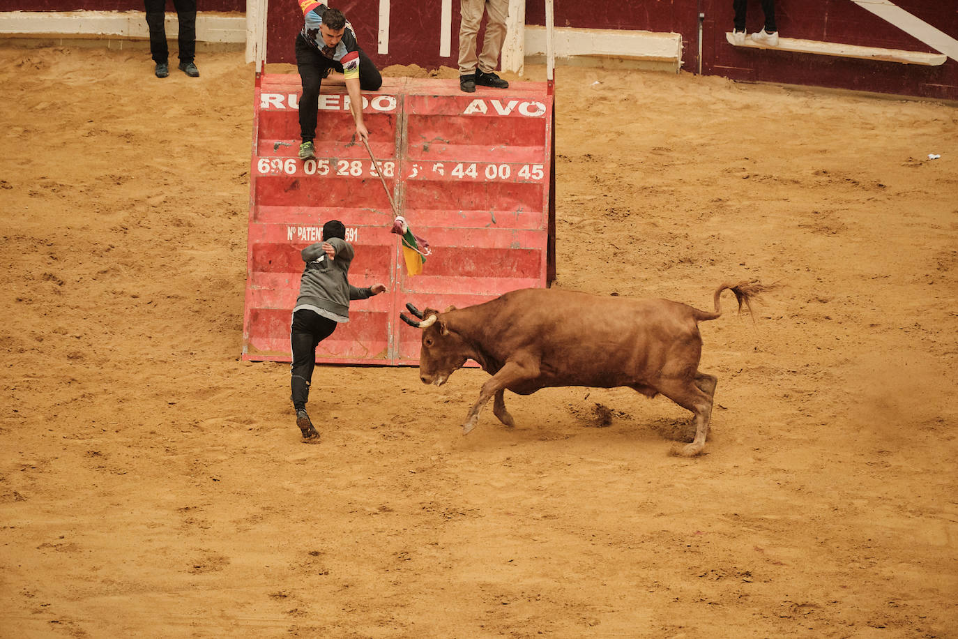 La primera jornada de vaquillas, un éxito
