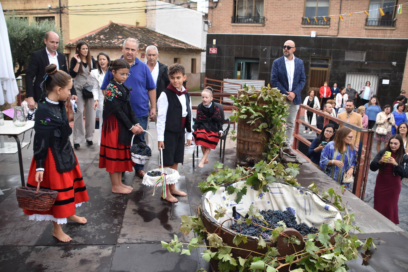 Imposición de pañuelos, procesión y pisado de la uva en Rincón de Olivedo