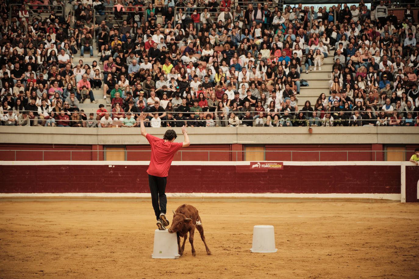 Lleno total en las vaquillas: las imágenes