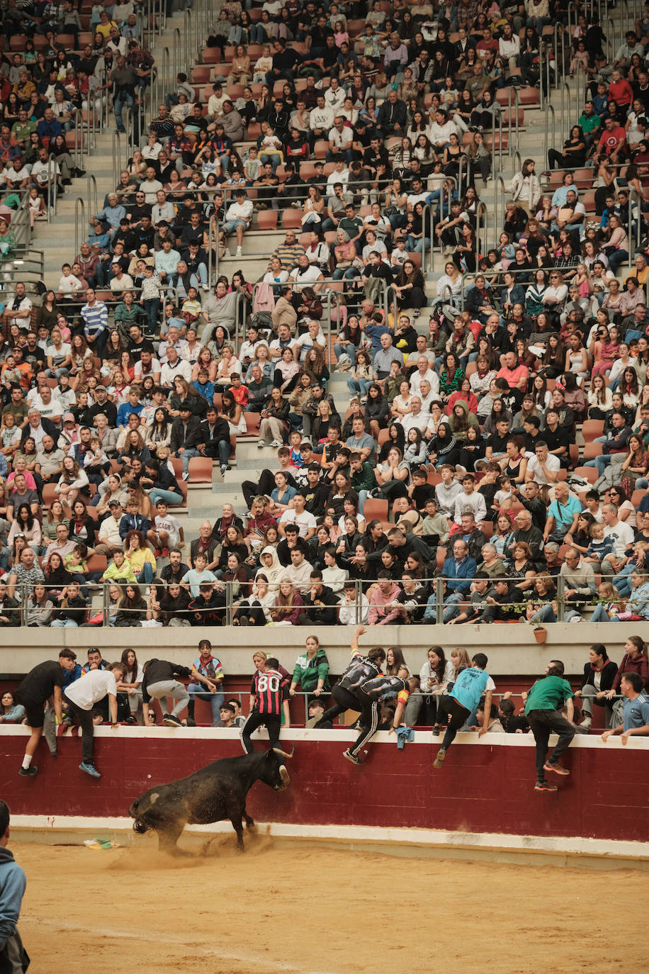 Lleno total en las vaquillas: las imágenes