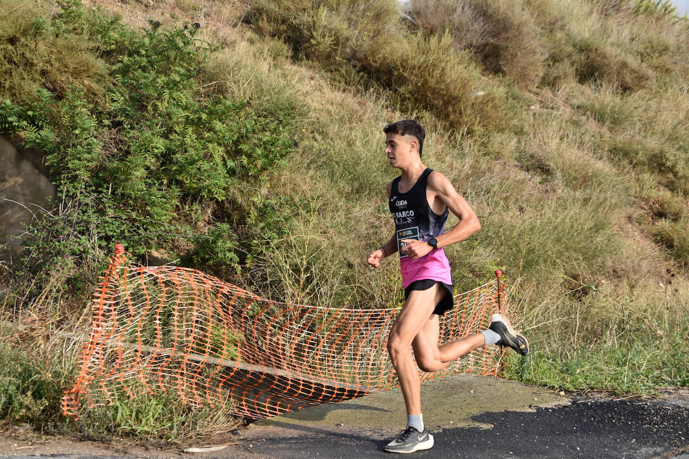 Búscate en la segunda etapa de la Ruta Jacobea del Ebro