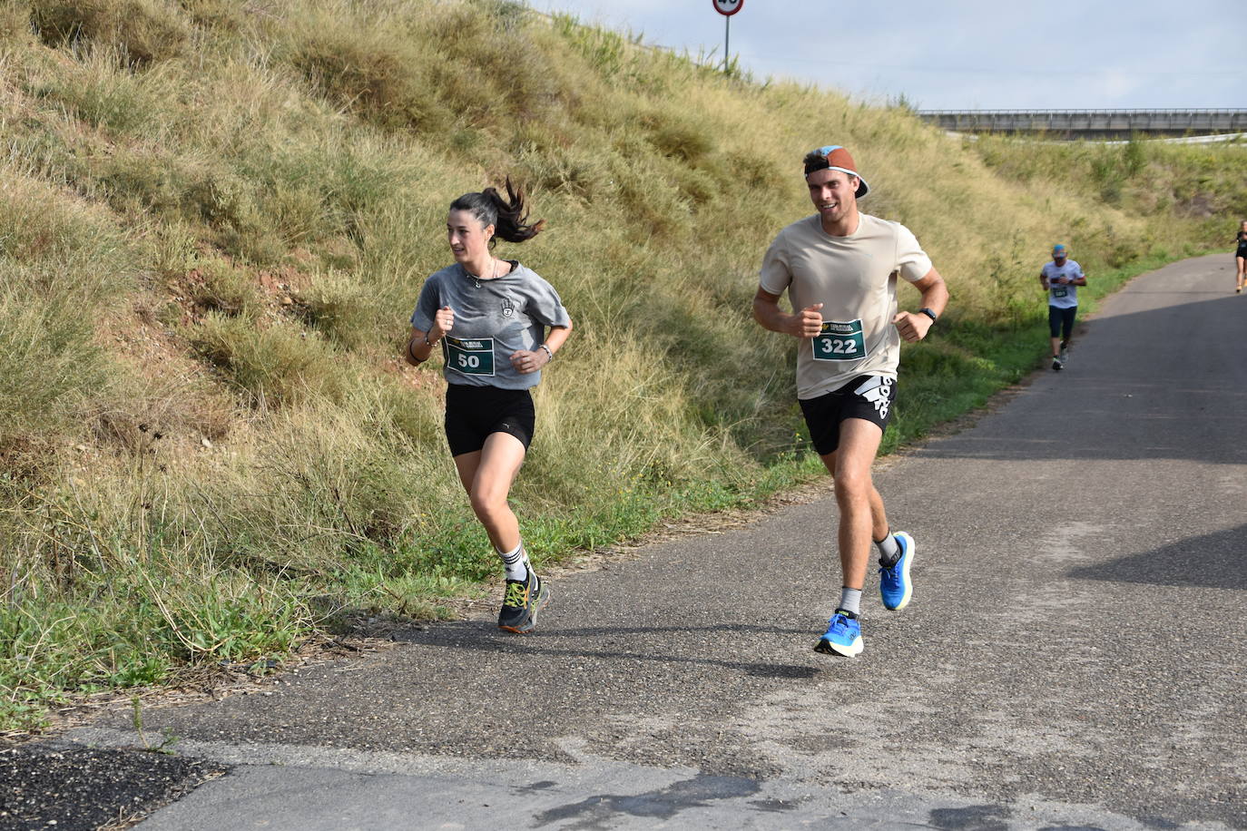 Búscate en la segunda etapa de la Ruta Jacobea del Ebro