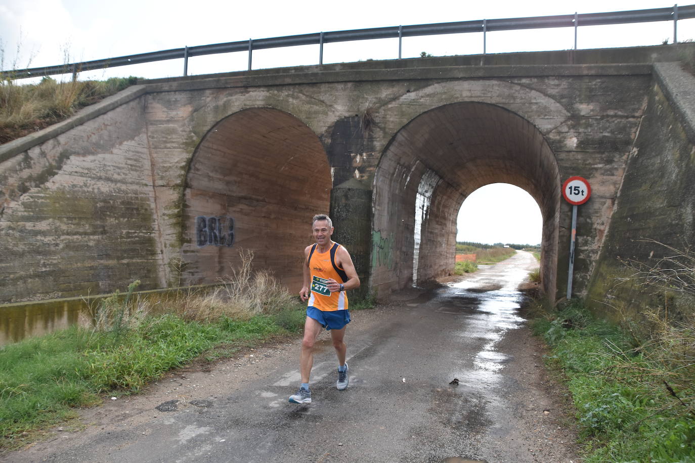 Búscate en la segunda etapa de la Ruta Jacobea del Ebro