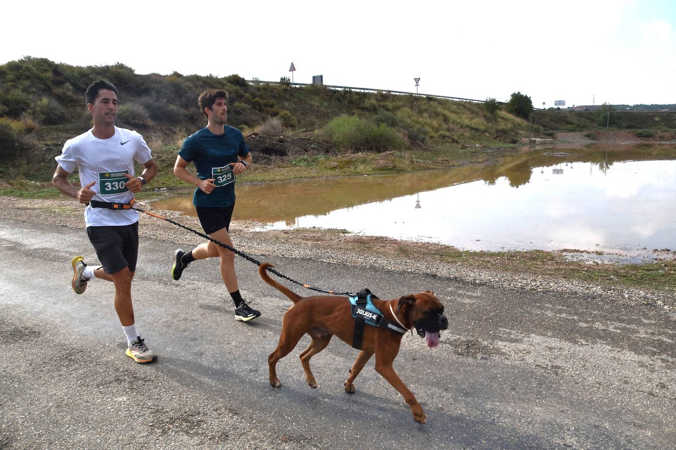 Búscate en la segunda etapa de la Ruta Jacobea del Ebro