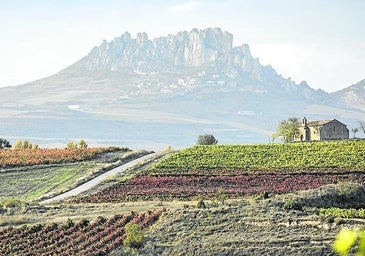 El carácter de un territorio singular como cierre de lujo de La Terraza