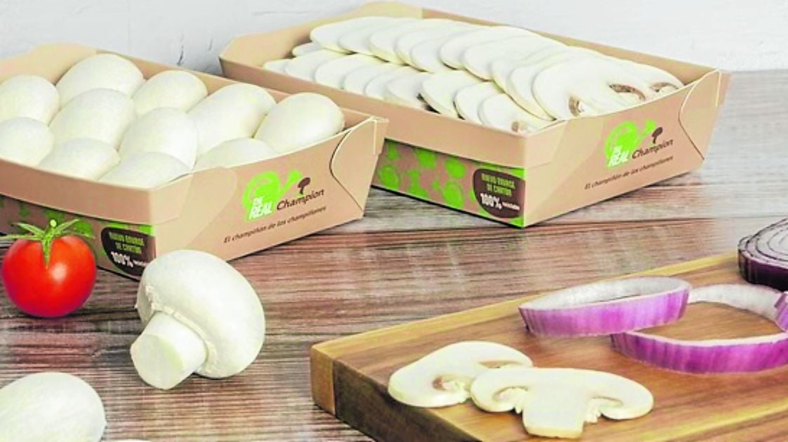 Champiñones que Ayecue (The Green Food Co.) comercializa en fresco.