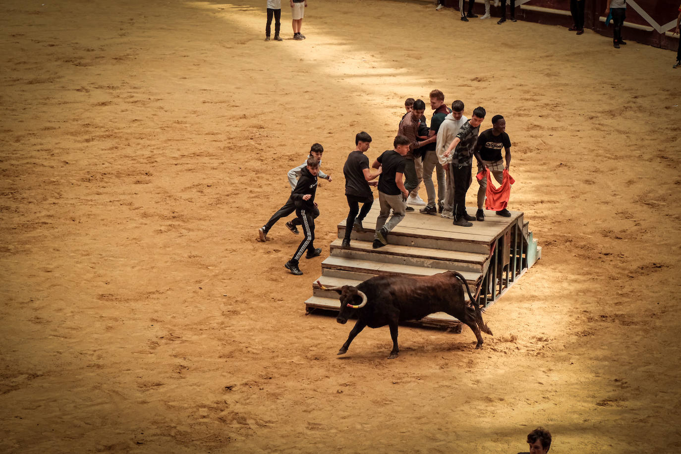 Emoción y risas en las vaquillas