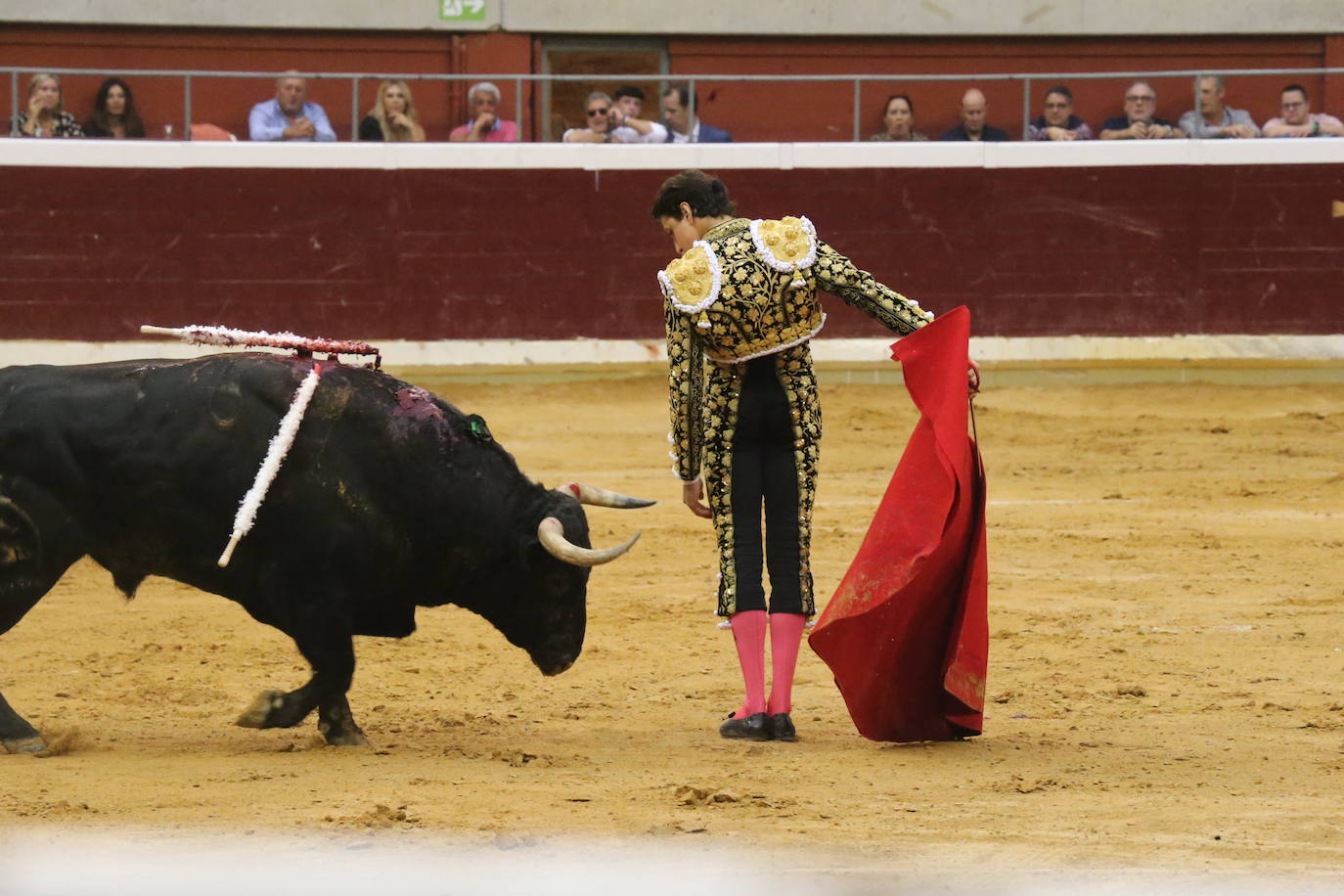 Aguado, Roca Rey y Ortega, en la tercera corrida de la feria de San Mateo