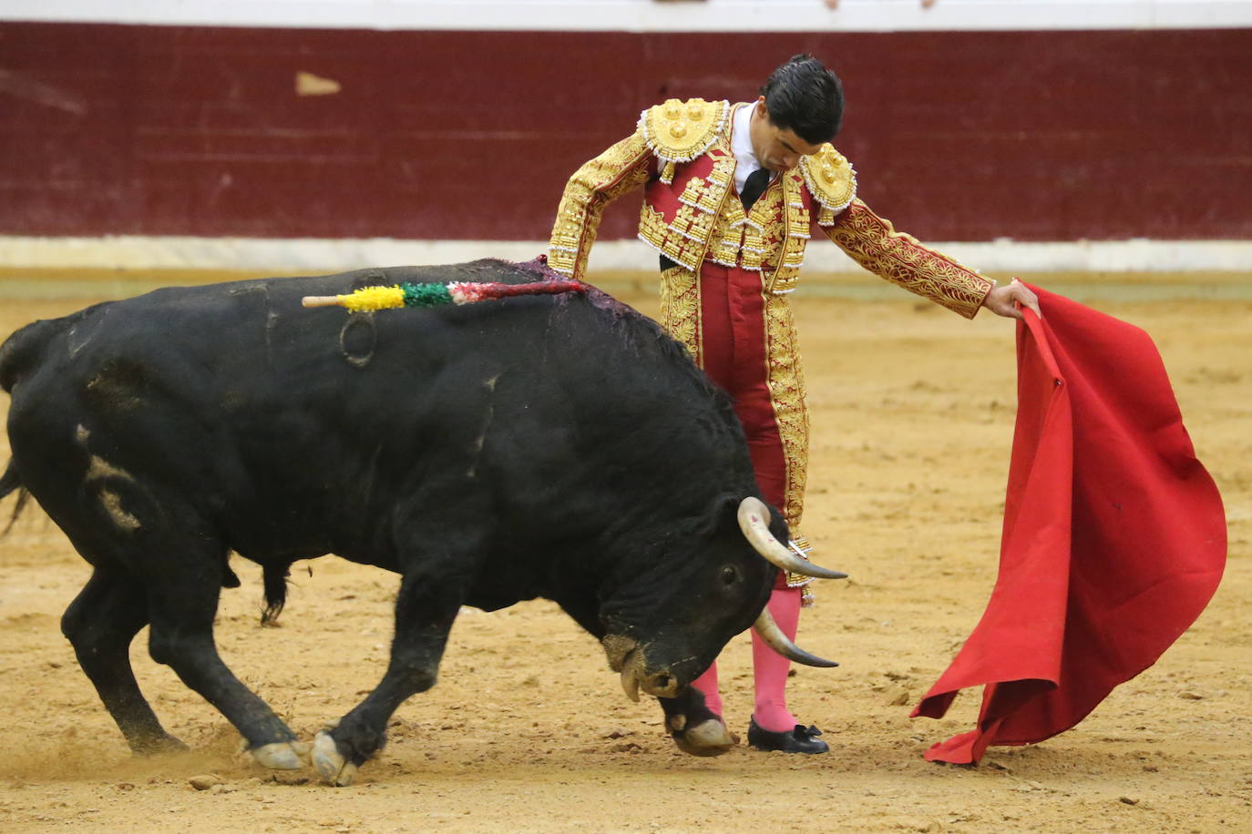 Aguado, Roca Rey y Ortega, en la tercera corrida de la feria de San Mateo