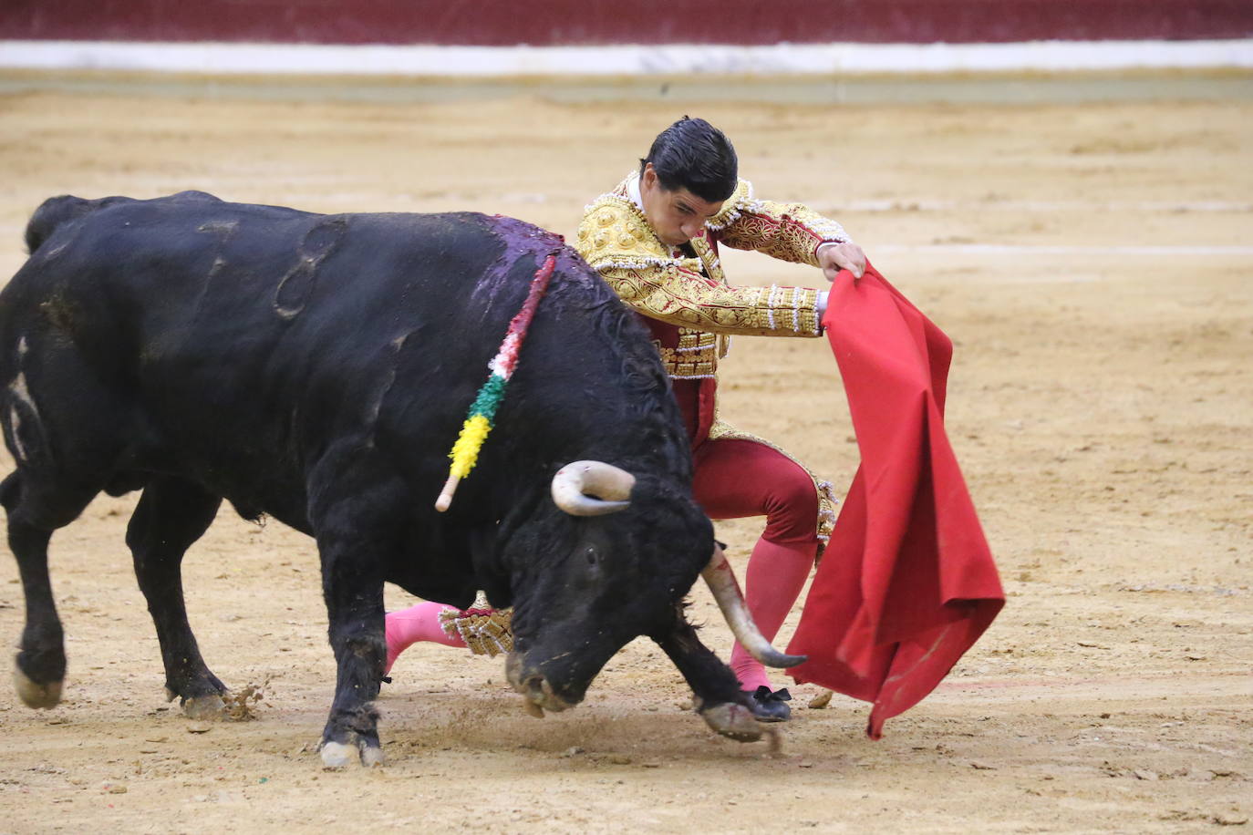 Aguado, Roca Rey y Ortega, en la tercera corrida de la feria de San Mateo