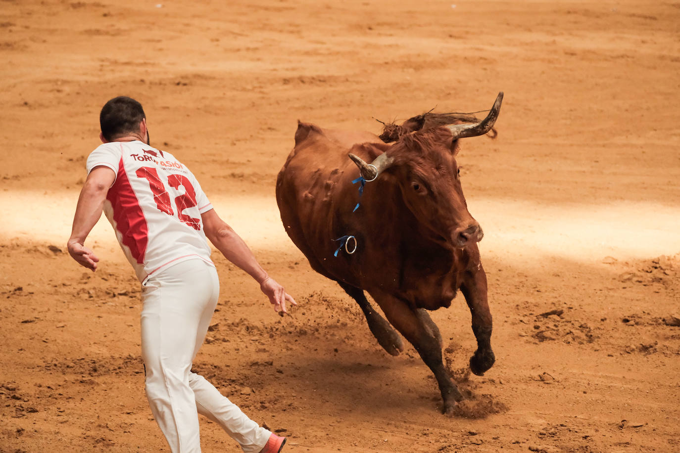 Las vaquillas no defraudan en el martes mateo