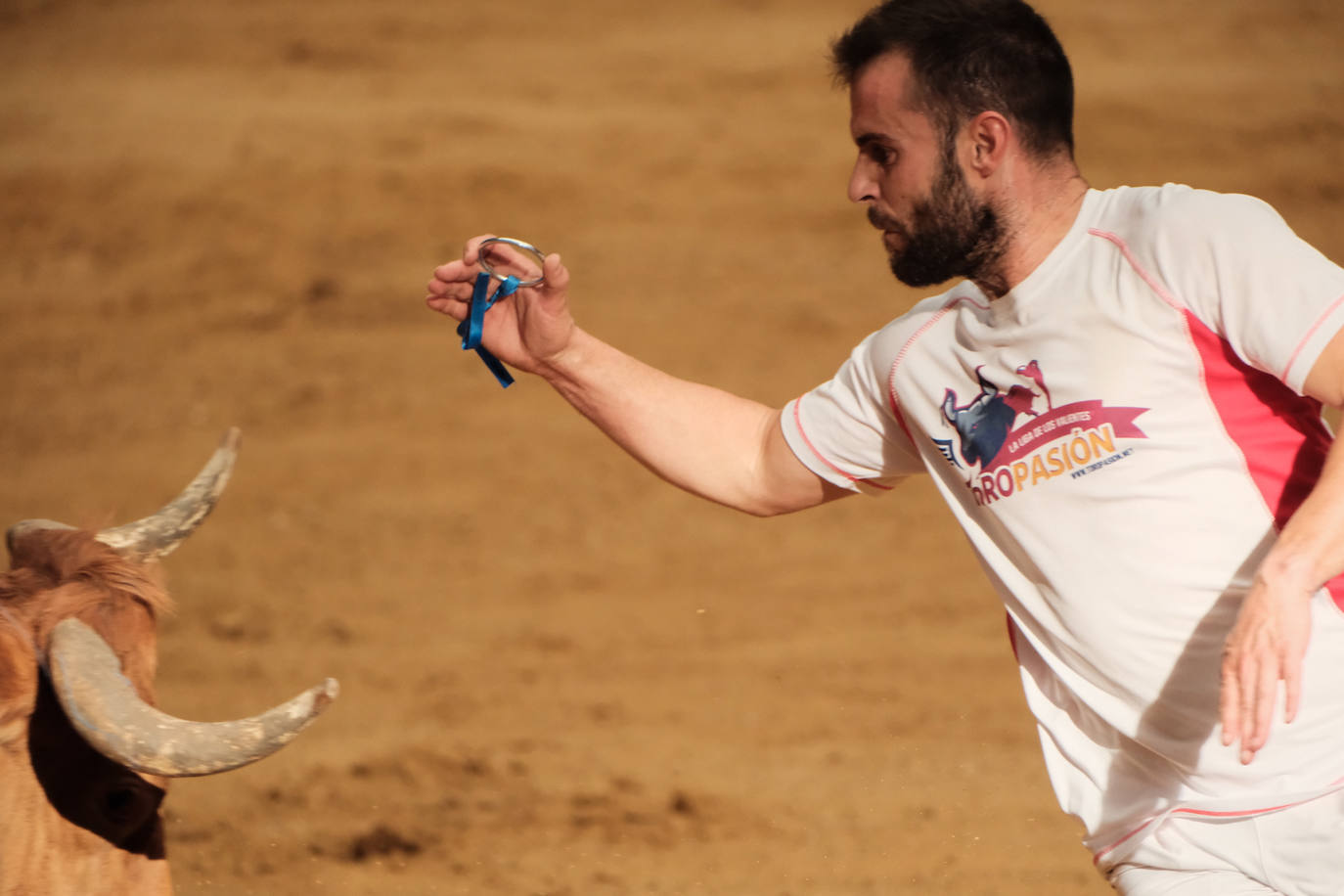 Las vaquillas no defraudan en el martes mateo