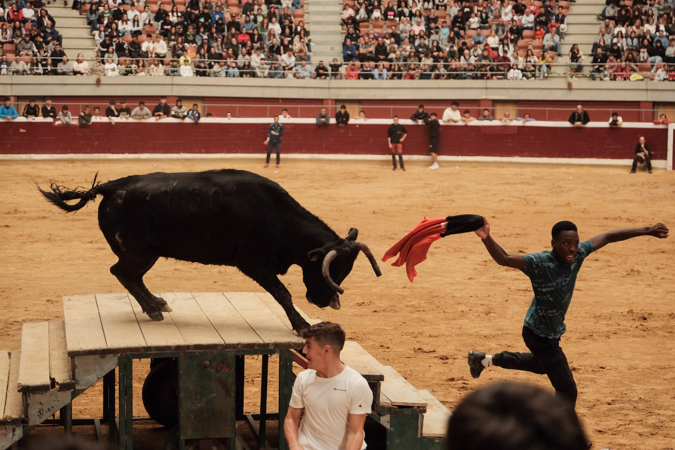 Las vaquillas no defraudan en el martes mateo