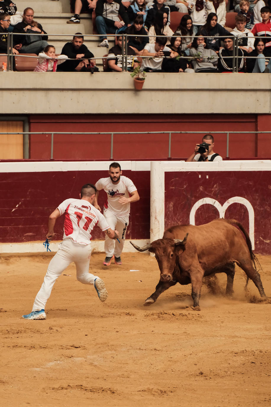 Las vaquillas no defraudan en el martes mateo