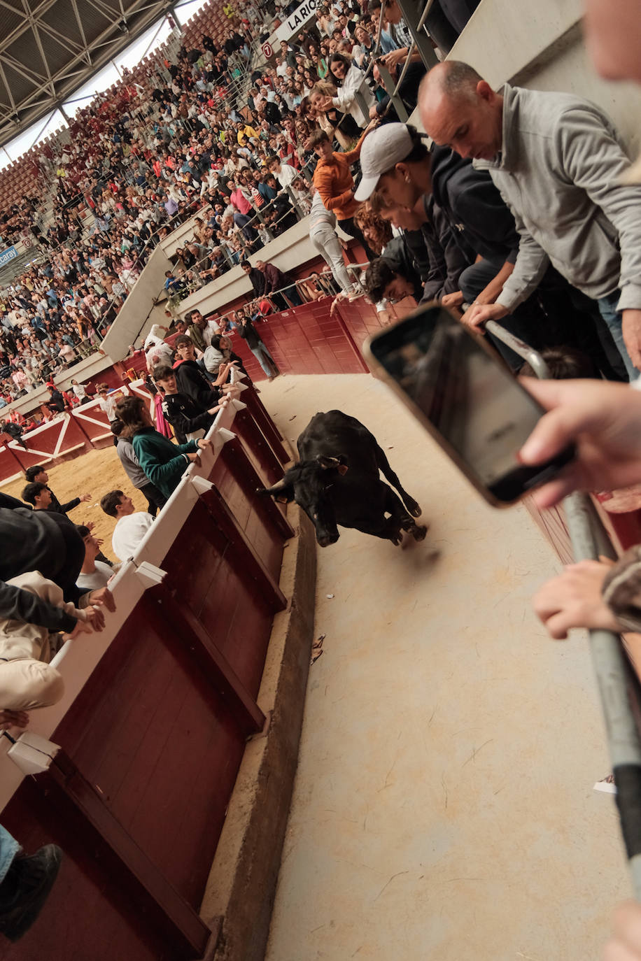 Las vaquillas no defraudan en el martes mateo