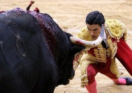 Pablo Aguado, mirando de frente al toro. juan marín