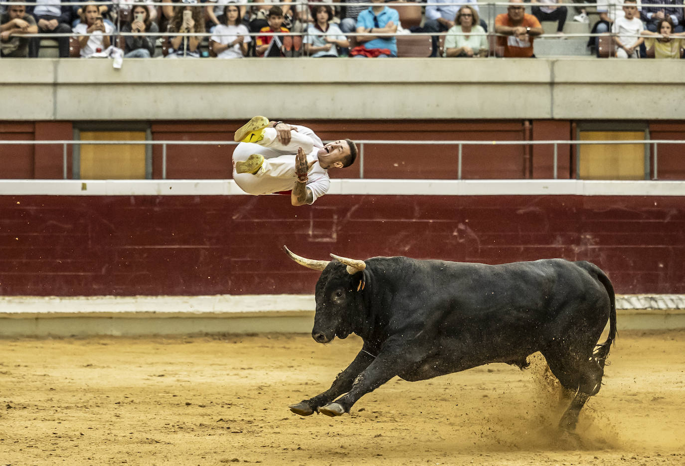 Concurso de recortes en la plaza de toros La Ribera, en imágenes