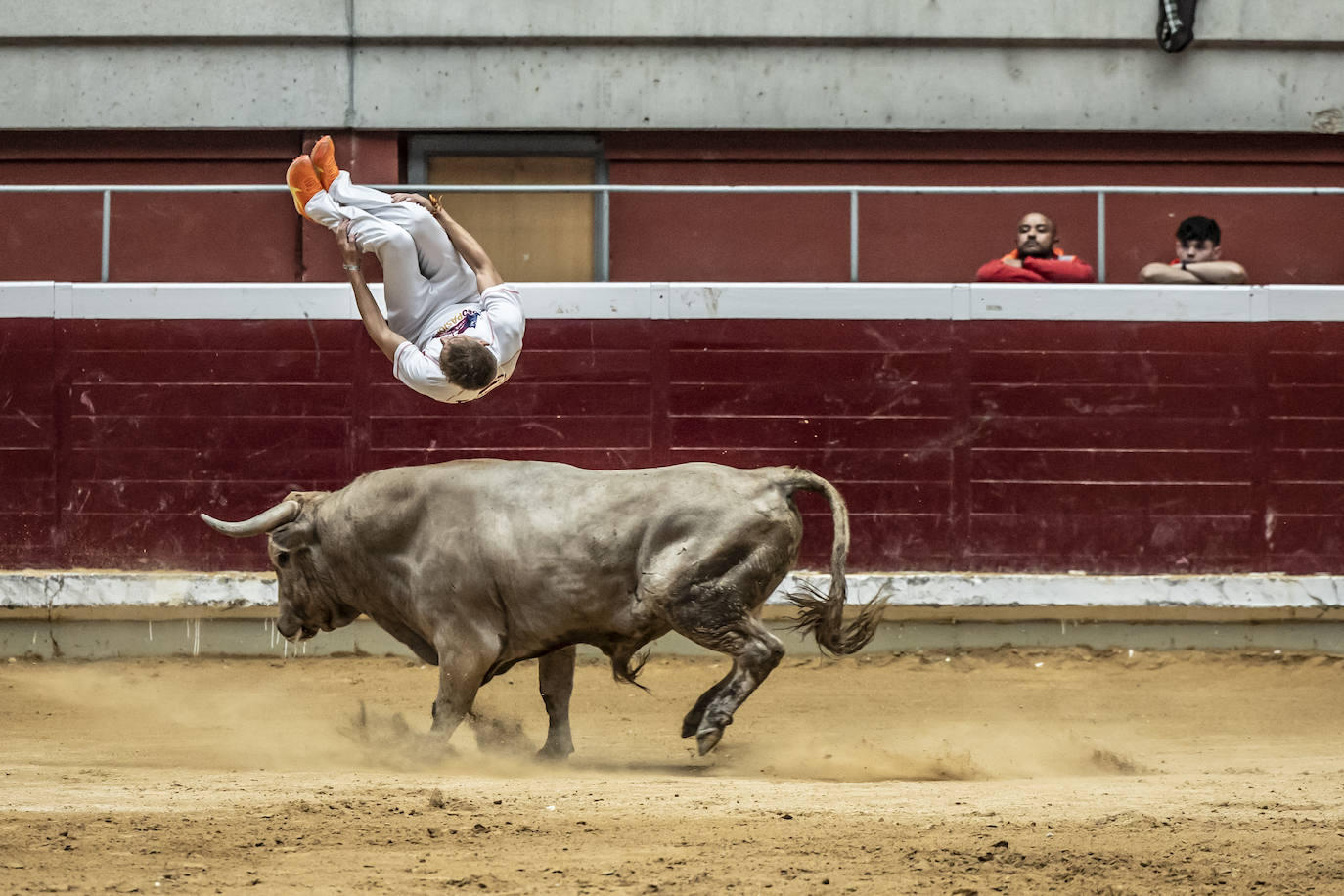 Concurso de recortes en la plaza de toros La Ribera, en imágenes