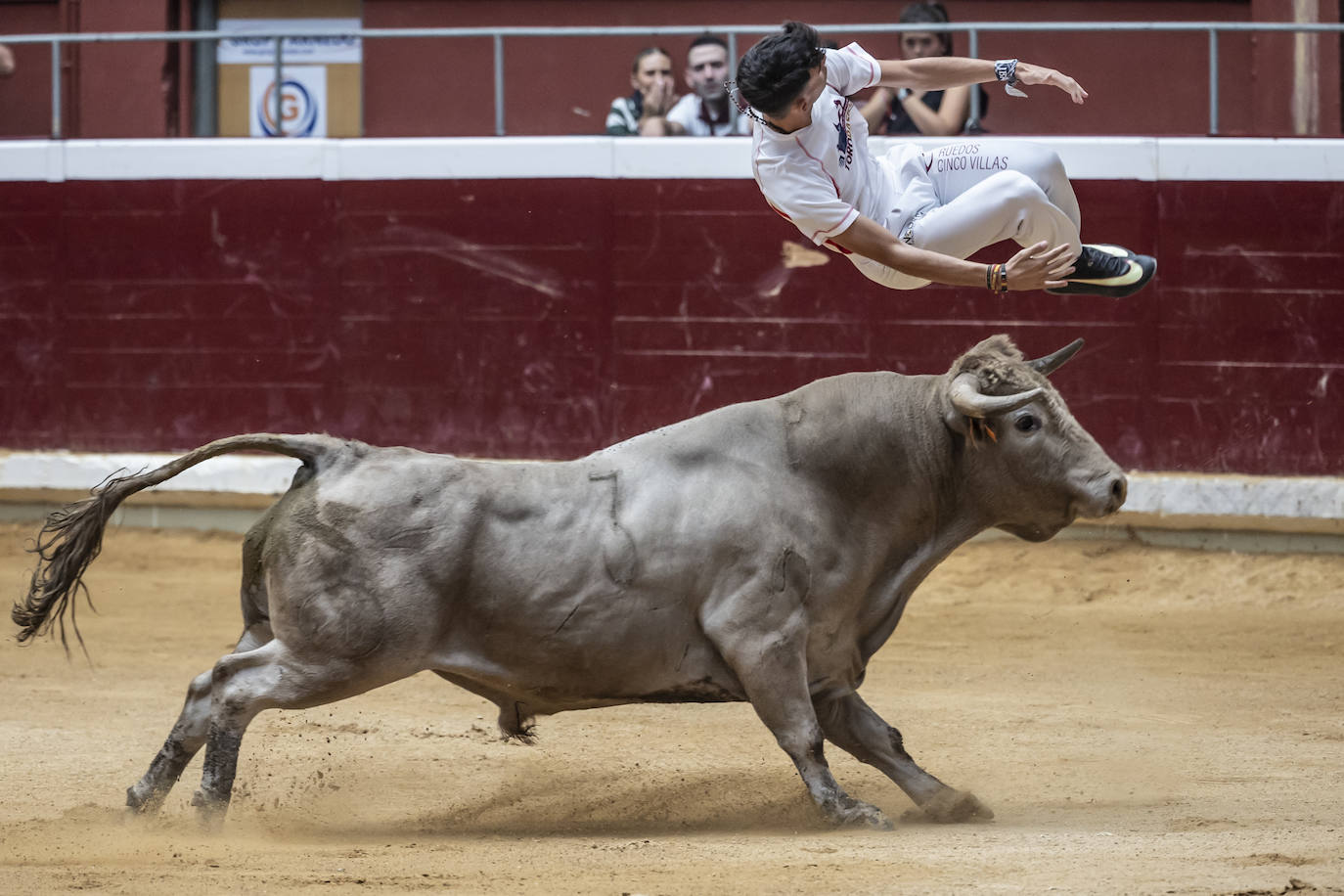 Concurso de recortes en la plaza de toros La Ribera, en imágenes