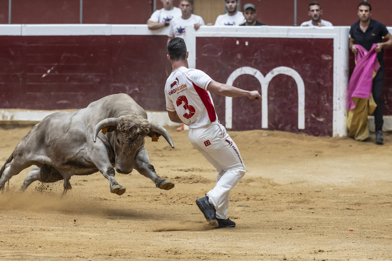 Concurso de recortes en la plaza de toros La Ribera, en imágenes