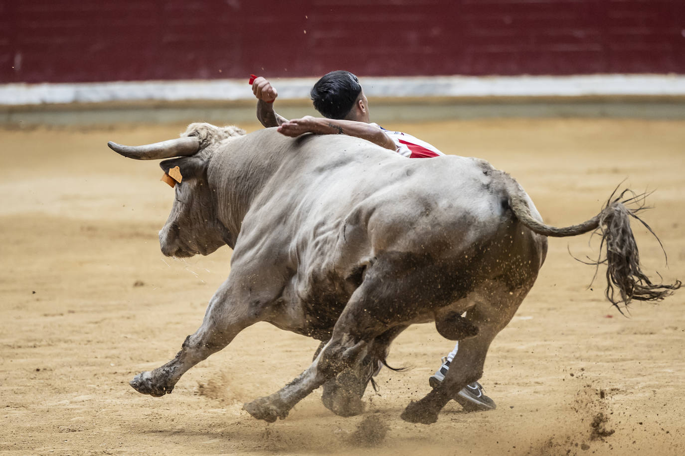 Concurso de recortes en la plaza de toros La Ribera, en imágenes