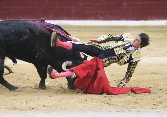 El susto de Roca Rey en la tercera corrida de San Mateo