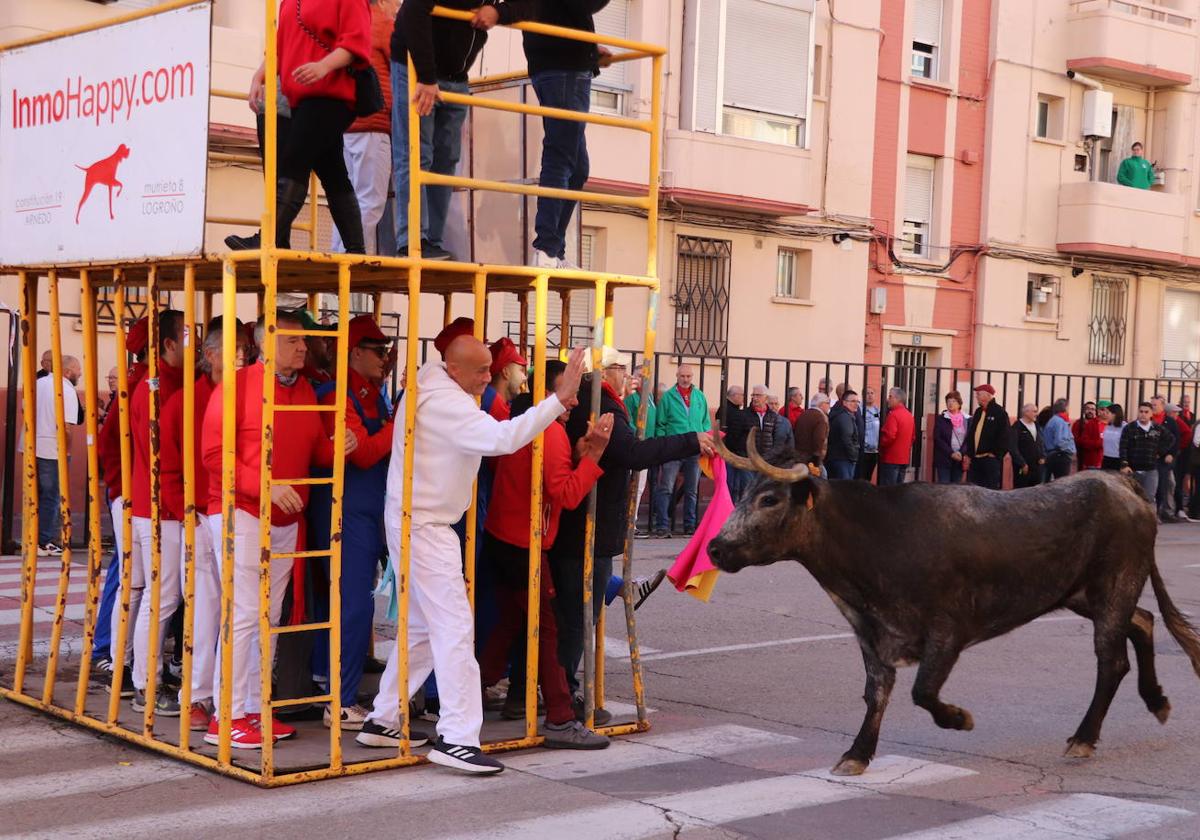 Arnedo continúa con sus fiestas de San Cosme y San Damián