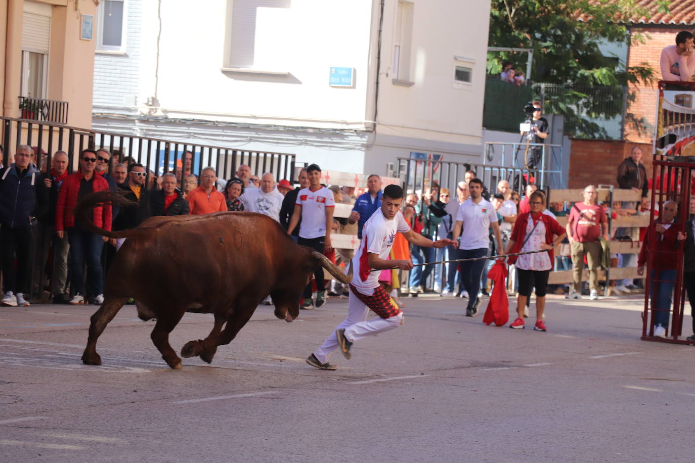 Arnedo continúa de fiesta