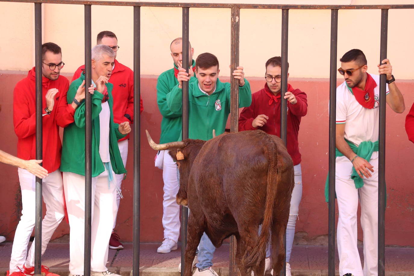 Arnedo continúa de fiesta