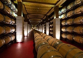 Sala de barricas de Bodegas Riojanas