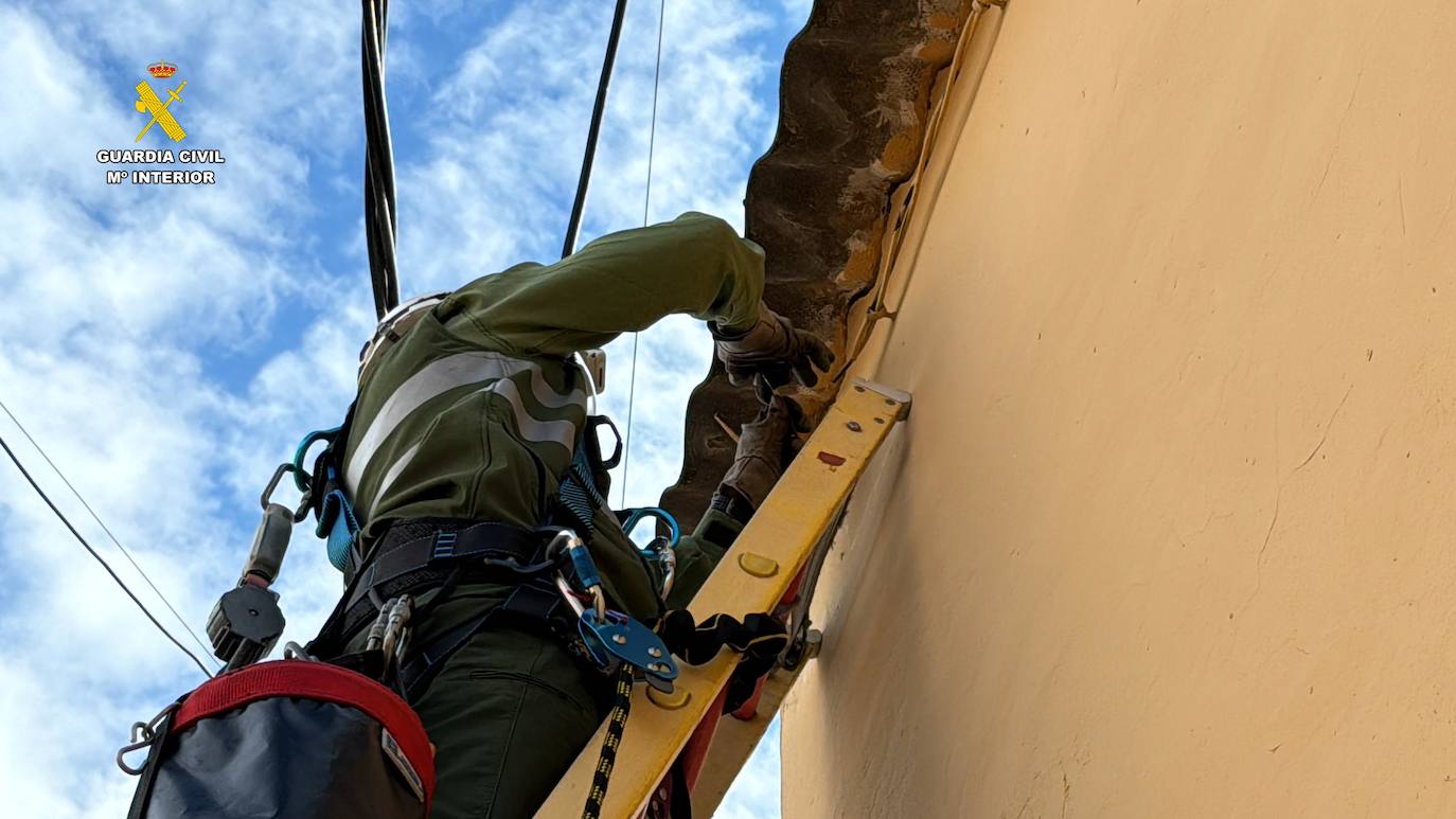 Operación &#039;apaga y vámonos&#039; de la Guardia Civil en Albelda