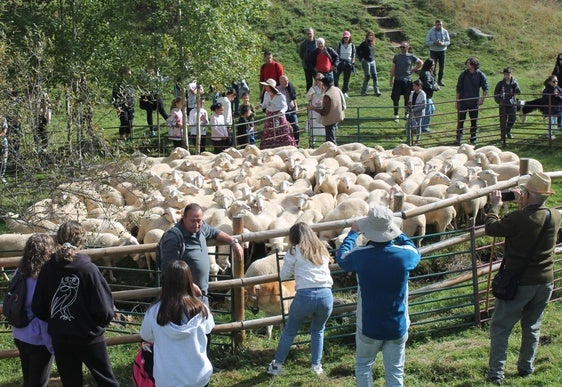 La fiesta de la Trashumancia, en imágenes